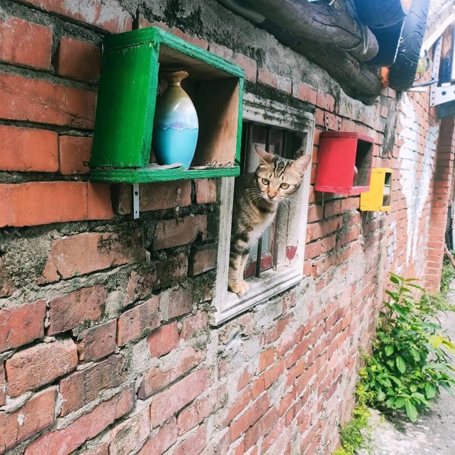 M Hostel貓客棧-清交大藝術眷村客棧 Hsinchu Extérieur photo